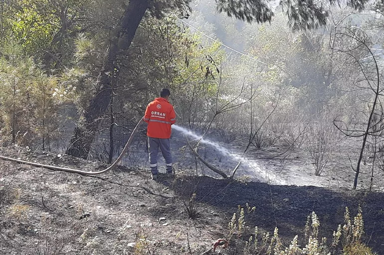 Son dakika: Osmaniye'de orman yangını! 50 dekar alan zarar gördü
