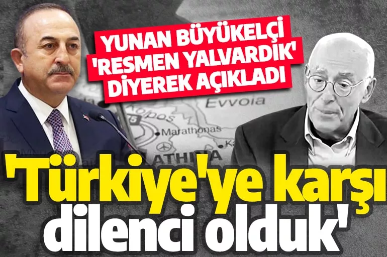 Yunan büyükelçiden Türkiye itirafı! 'Çavuşoğlu ile görüşmek için resmen yalvardık'