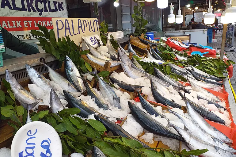 Zonguldak'ta balıkçıların ağına takıldı! Tanesi 300 TL'den satılıyor