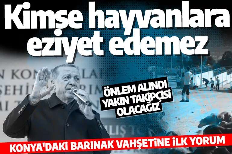 Cumhurbaşkanı Erdoğan'dan Konya'daki hayvan barınağı vahşetine tepki: Takipçisi olacağız