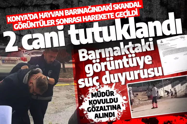 Konya'da hayvan barınağında skandal görüntüler! 2 cani tutuklandı