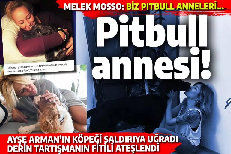 Pitbull annesi Melek Mosso'dan Max'in annesi Ayşe Arman'a saldırgan mektup: Bu mevzular şu an bi tık pamuk ipliğinde