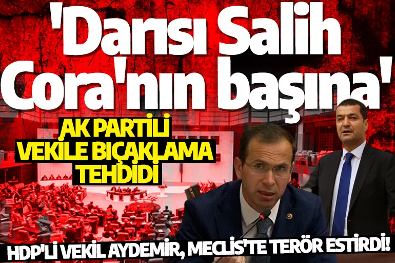 HDP'li vekil Aydemir, Meclis'te terör estirdi! AK Partili vekile bıçaklama tehdidi