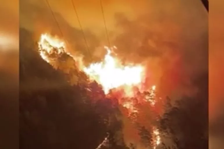 Alanya'da orman yangını büyüyor!