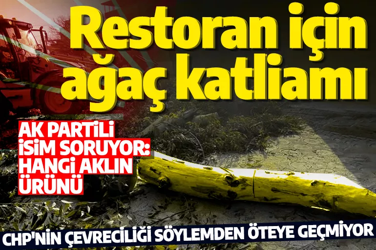 CHP'li belediye restoran için ağaç katliamı yaptı! Çevreciler üç maymunu oynuyor
