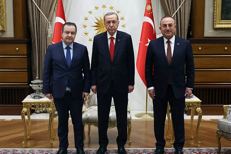 Cumhurbaşkanı Erdoğan, Sırbistan Başbakan Yardımcısı Dacic ve Moldova Meclis Başkanı Grosu ile bir araya geldi