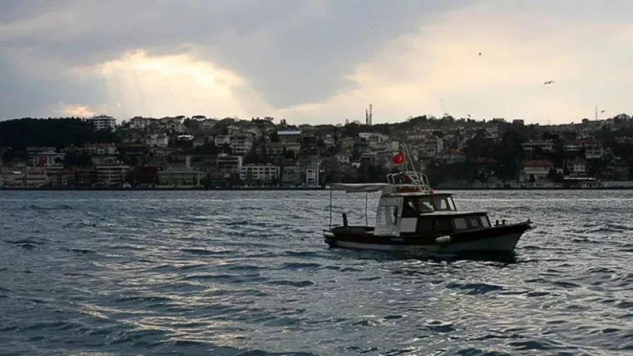 Marmara Denizi'nde istilacı korkusu! Zehirli ve yakıcı, kontrol edilmesi lazım