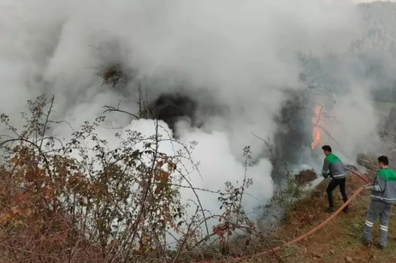 Ormanı 17 farklı yerden ateşe vermişti! O şahıs gözaltına alındı 