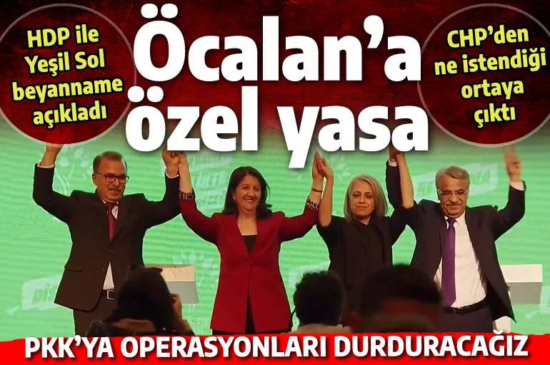 Öcalan için özel yasayı HDP/Yeşil Sol açıkladı: Koşullu salıverilmesi sağlanacak