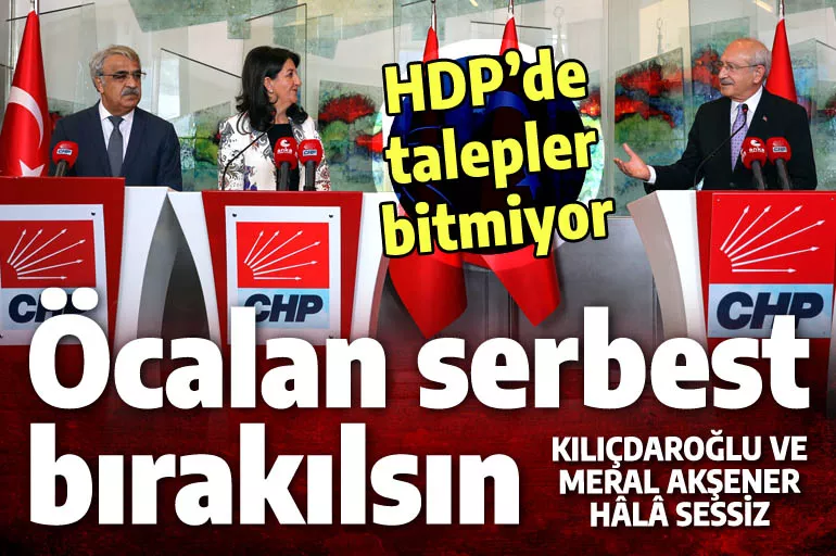Öcalan serbest bırakılacak mı? CHP-HDP anlaşmasının en önemli maddesi