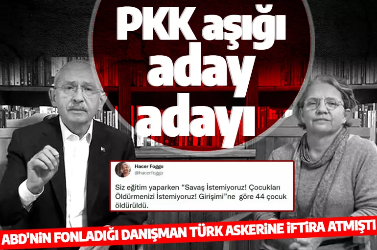 Türk Silahlı Kuvvetleri'ni karalayan Hacer Foggo CHP'den milletvekili aday adayı oldu