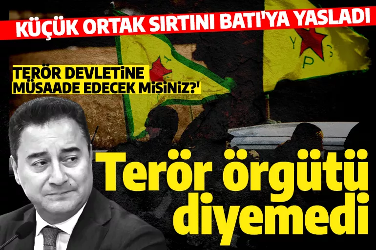 Ali Babacan Avrupa'yı örnek gösterdi YPG'ye terör örgütü diyemedi!