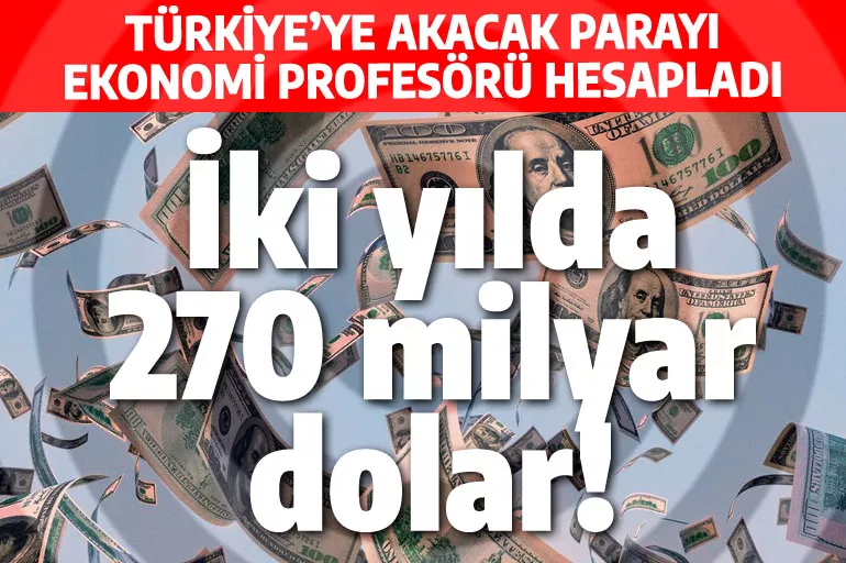 Ekonomi profesörüne göre Türkiye'ye gelecek para 270 milyar doları buluyor!