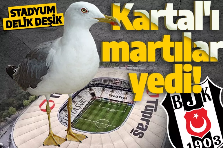 Kartal'ı martılar yedi! Beşiktaş'ın stadyum çatı örtüleri delik deşik