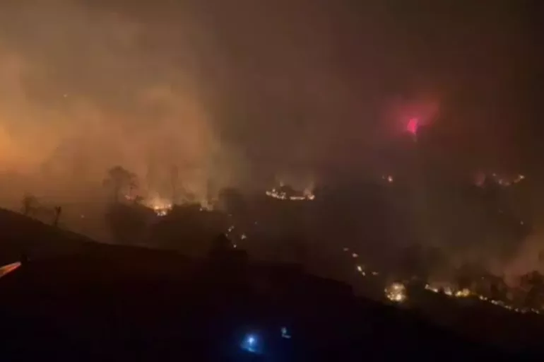 Trabzon'da fırtına sonrası 5 ilçede yangın çıktı: Vali Yıldırım'dan açıklama!