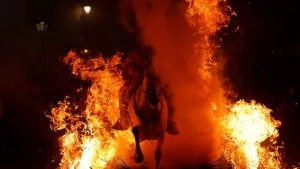 İspanya'nın asırlık geleneği nefesleri kesti! Ateşin üzerinden atlarla geçtiler