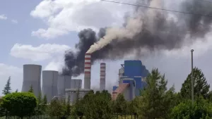 Türkiye'nin en büyük termik santralinde korkutan yangın