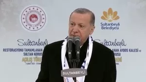 Cumhurbaşkanı Erdoğan: Bunlar Avrupa'nın 'aferin' demesine muhtaç