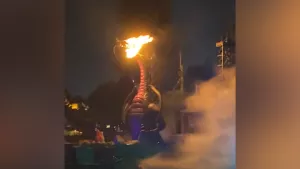 Disneyland'de feci yangın! Ejderha alev aldı