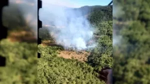Kütahya'da orman yangını! Müdahale sürüyor