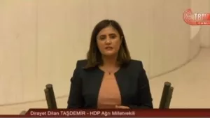HDP'li Taşdemir meclis kürsüsünde Kandil'i savundu!