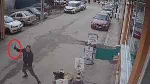 Pes artık! Pitbull'u sokak köpeğinin üzerine saldı! Selfie çekip tekmeledi