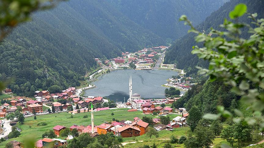 Uzungöl'de trafiğe çıkması yasaklanan 20'ye yakın araç toplatıldı