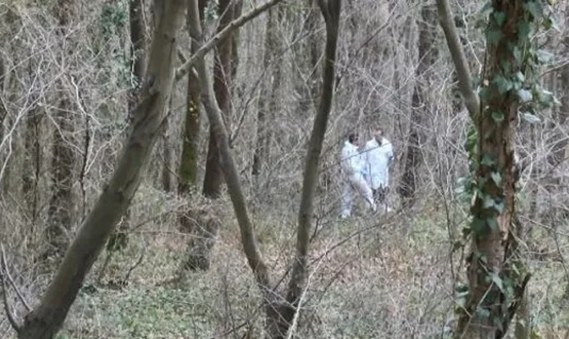 Belgrad Ormanı'nda dehşet! Ağaca bağlanmış erkek cesedi bulundu