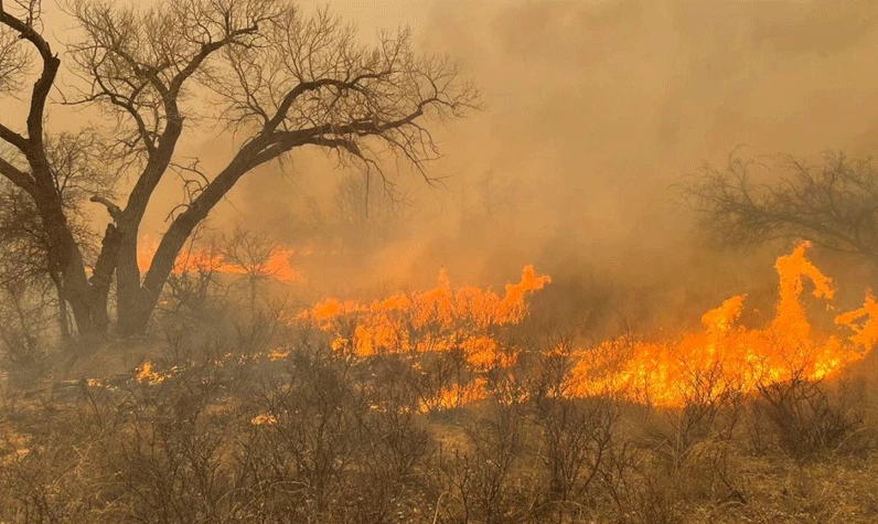 Tarihin en büyük ikinci yangını! 500 bin dönüm araziyi kül etti: Acil durum ilan edildi