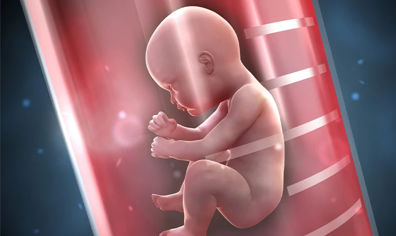 Tüp bebek çalışmaları durduruldu! Mahkeme embriyoları 'çocuk' saydı! Çocuk sahibi olmak isteyen aileler şokta!