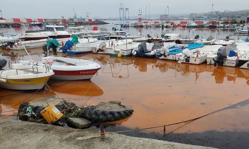 Marmara denizinde korkutan görüntüler ortaya çıktı: Suyun rengi değişti