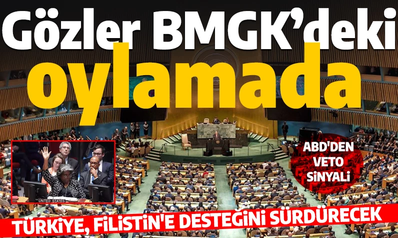 Gözler BMGK'deki oylamada: Türkiye, Filistin'in BM'de tam üyeliğini destekliyor