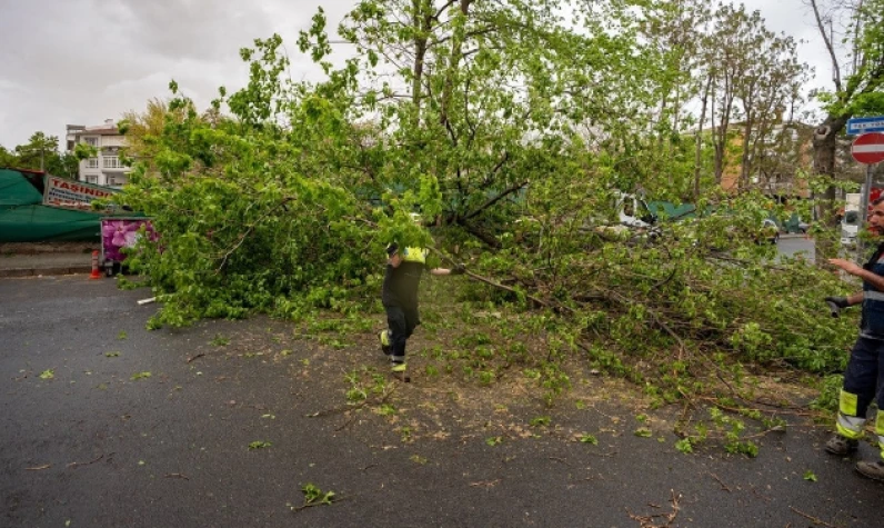 İstanbul'da kuvvetli yağış hasara neden oldu: Ağaçlar devrildi, çatılar uçtu!