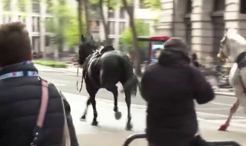 Londra'da kaçak atlar panik yarattı