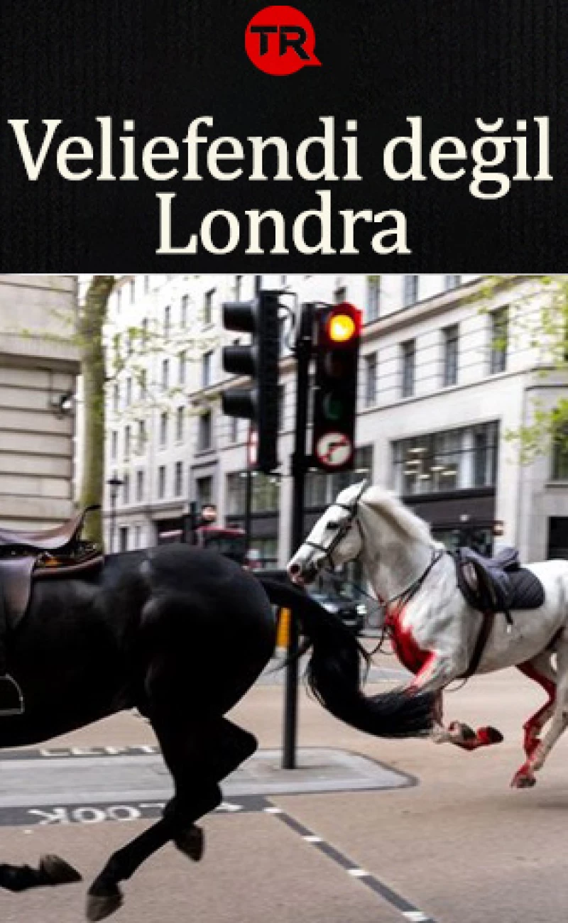 Kraliyetin kaçak atları Londra'yı altını üstüne getirdi! Ordu ve polis alarma geçti: 5 yaralı