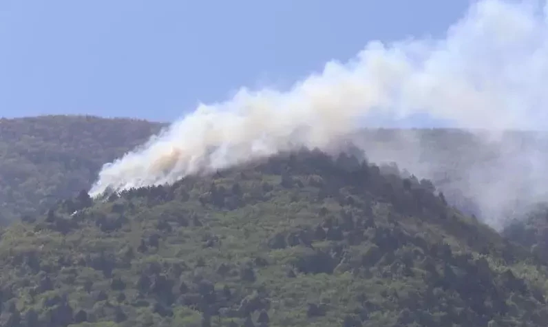 SON DAKİKA: Uludağ'da orman yangını başladı! Çok sayıda ekip bölgede