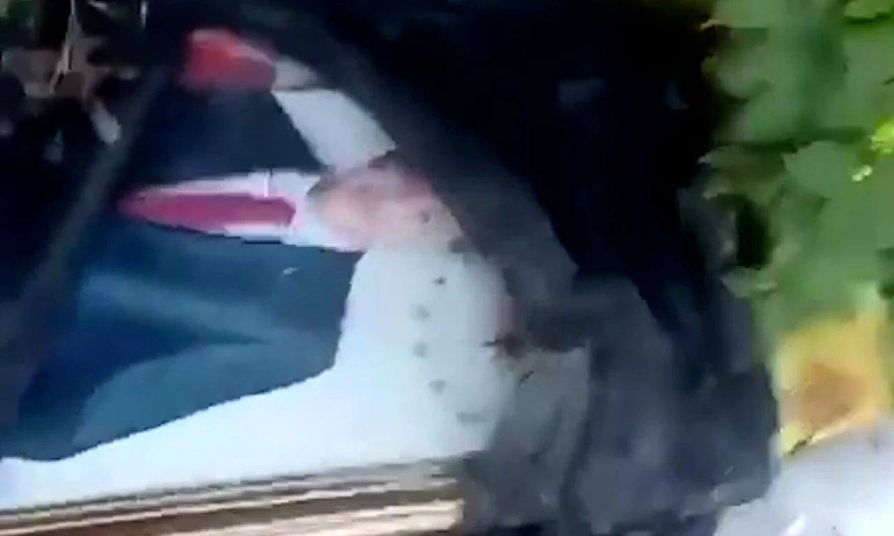 Cumhurbaşkanı Erdoğan'a saygısızlığa soruşturma