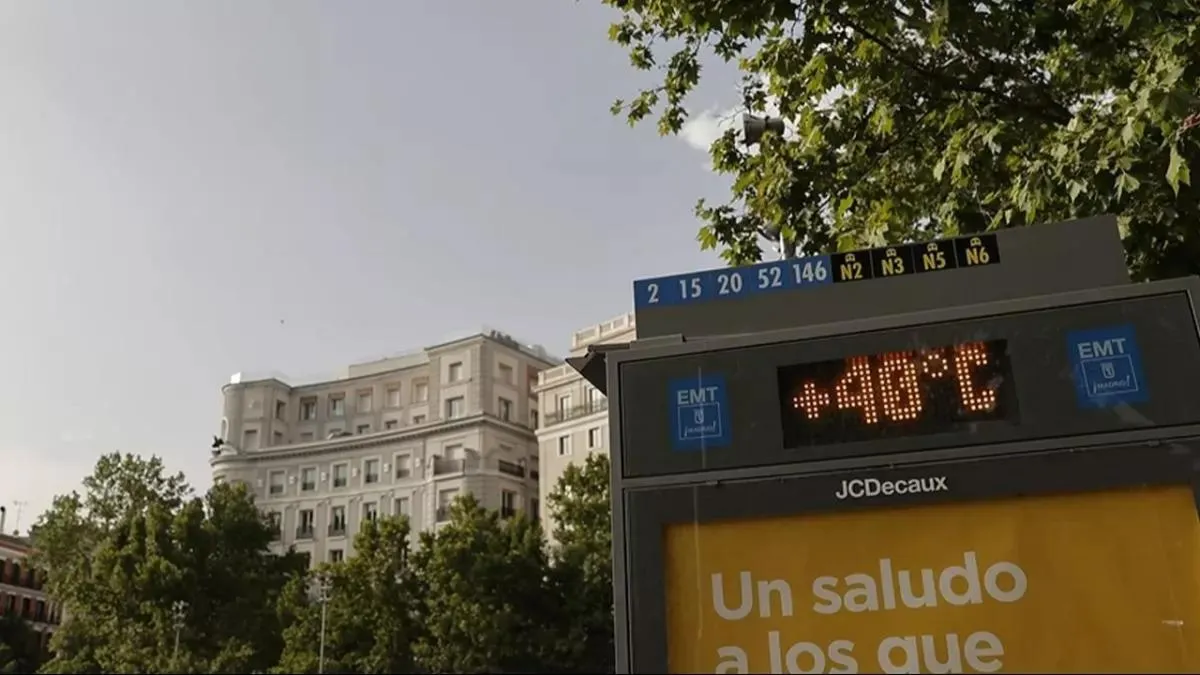 Hükümet alarm durumu ilan etti! O ülkede sıcaklar öldürüyor: Bilanço açıklandı