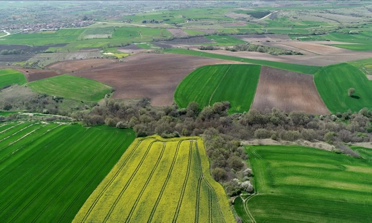 TOKİ’den 36 ilde dev arsa satışı! Yüzde 25 ve 40 peşinatla 242 arsa açık artırmada