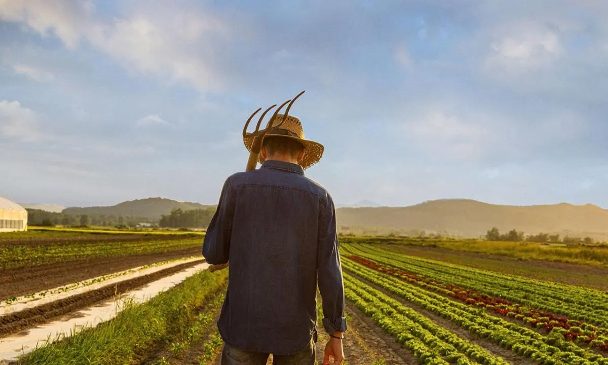 Köye dönüşe devlet desteği: Genç çiftçiye arazi, konut ve kredi bir arada