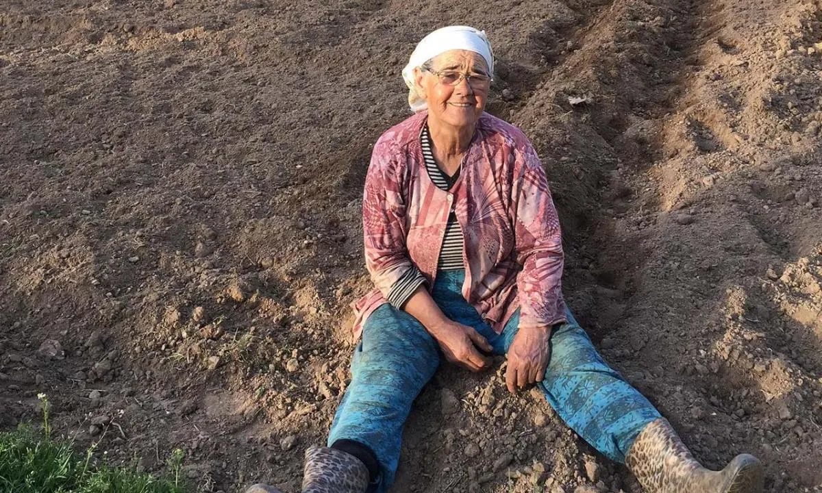 Günay Teyze kimdir? Fenomen Günay Karataş nereli, evli mi?