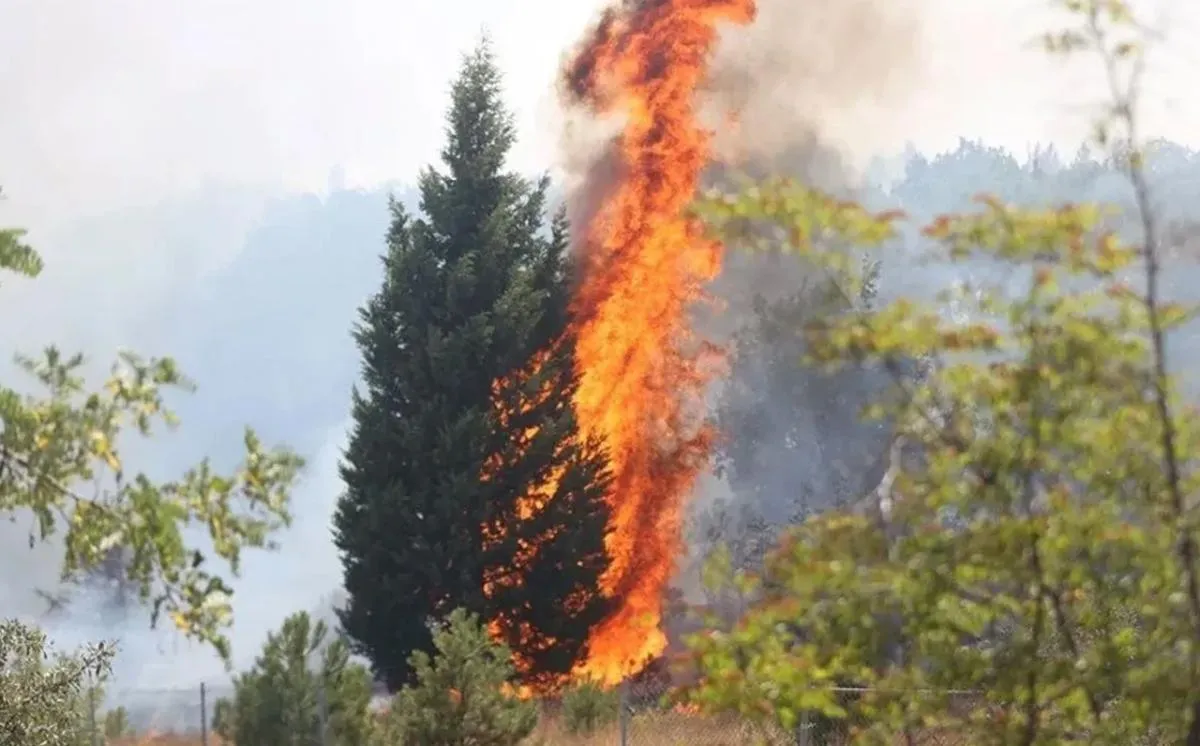 Kırklareli'de korkutan yangın: Rüzgar alevlerin etkisini artırdı: Otoyol trafiğe kapatıldı