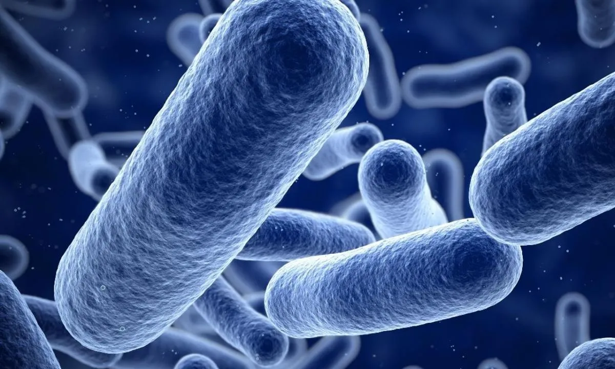 Türkiye'de et yiyen bakteri görüldü mü? Bakanlıktan merak edilen soruya yanıt