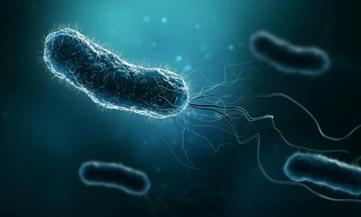 'Et Yiyen Bakteri' alarmı: ABD'de ölümler arttı: Türkiye'den ilk açıklama geldi