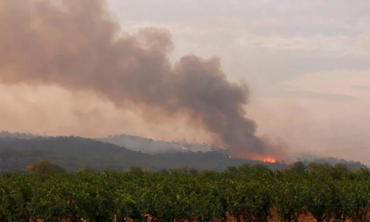 Fransa alev alev yanıyor! 13 bin hektarlık alan küle döndü