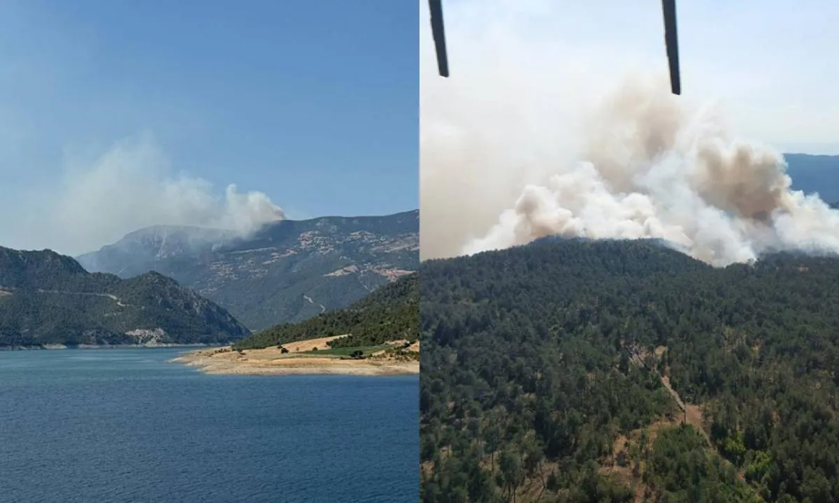 Köy tahliye edildi: Sinop'ta orman yangını! Ekipler bölgede seferber oldu!
