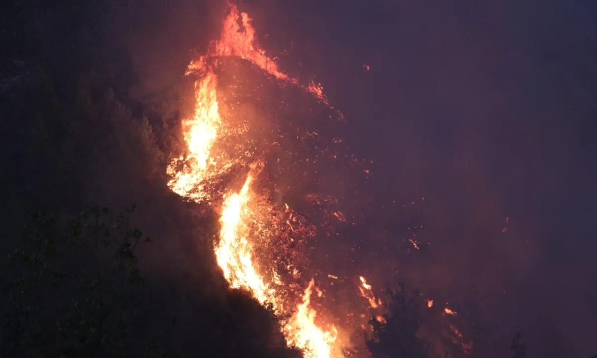 Türkiye genelindeki orman yangınlarında son durum! Bakan Yumaklı Yangın Yönetim Merkezi'nde