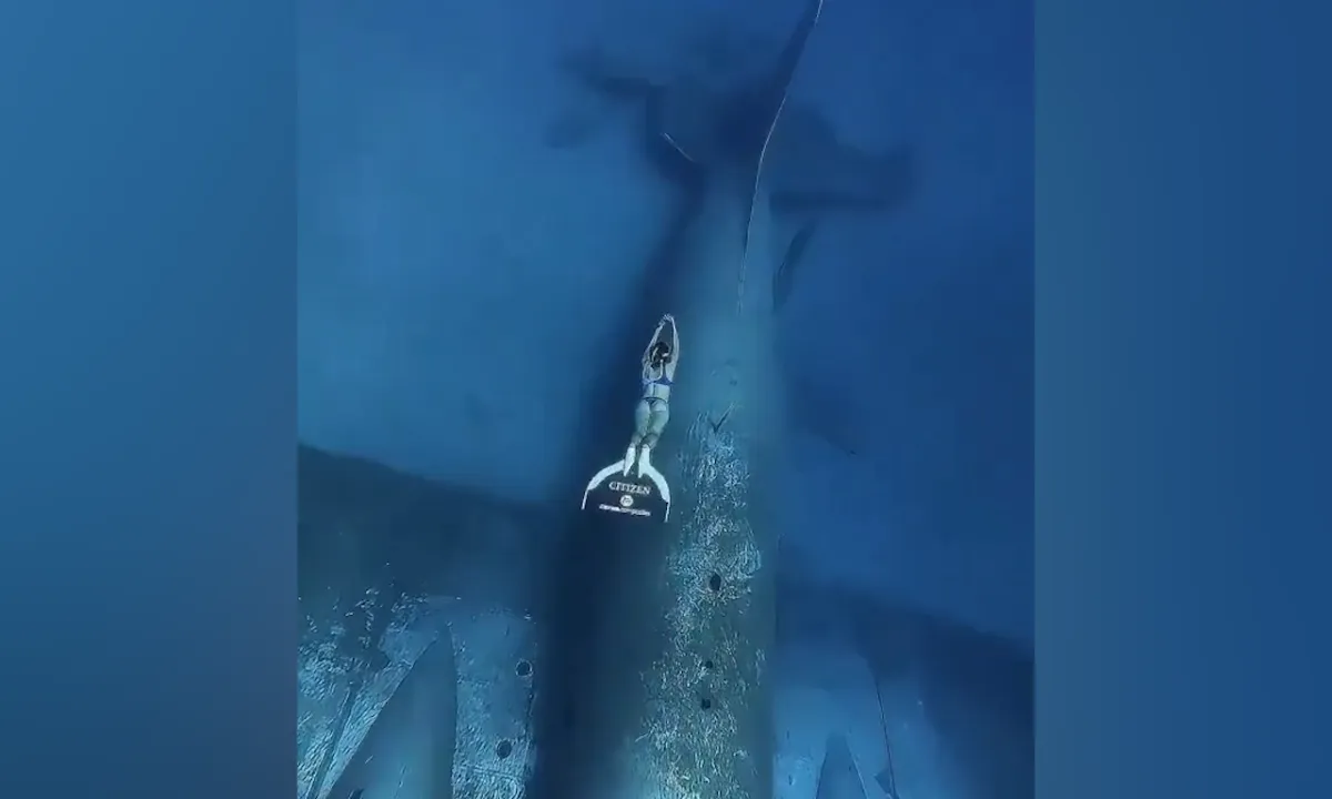 Milli sporcudan nefes kesen performans! Uçak batığına daldığı anları paylaştı! 