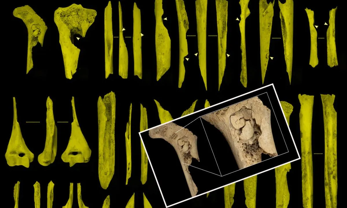 Yamyamlık mı işkence mi? Tüyler ürperten keşif: 5.700 yıllık pişirilmiş insan kalıntıları ortaya çıktı