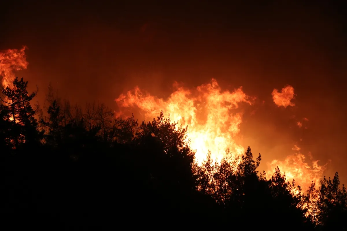 Hatay ve Mersin'de gece boyu alevlerle savaş: 2 bini aşkın kişi tahliye edildi